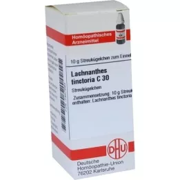 LACHNANTHES tinctoria C 30 rutuliukų, 10 g