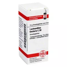 LACHNANTHES tinctoria C 30 rutuliukų, 10 g