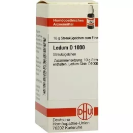 LEDUM D 1000 rutuliukų, 10 g