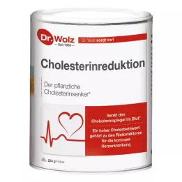 CHOLESTERINREDUKTION Dr.Wolz milteliai, 224 g