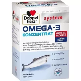 DOPPELHERZ Omega-3 koncentrato sistemos kapsulės, 120 kapsulių