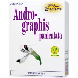 ANDROGRAPHIS paniculata kapsulės, 60 vnt