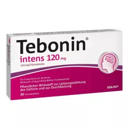 TEBONIN intens 120 mg plėvele dengtos tabletės, 30 vnt
