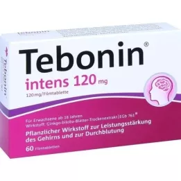 TEBONIN intens 120 mg plėvele dengtos tabletės, 60 vnt