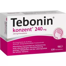 TEBONIN konsent 240 mg plėvele dengtos tabletės, 120 vnt