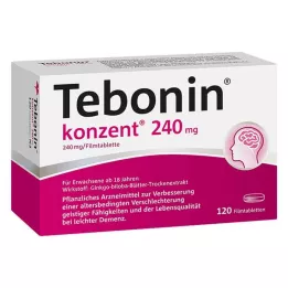 TEBONIN konsent 240 mg plėvele dengtos tabletės, 120 vnt