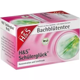 H&amp;S Bacho gėlių mokinių laimės arbatos filtravimo maišelis, 20X3,0 g