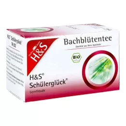 H&amp;S Bacho gėlių mokinių laimės arbatos filtravimo maišelis, 20X3,0 g