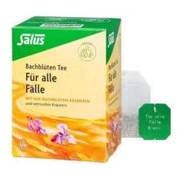 BACHBLÜTEN TEE Visiems organinių Salus filtrų skirtukai, 15 vnt