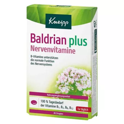Kneipp Valerian plus nerve vitamins dražė, 40 vnt