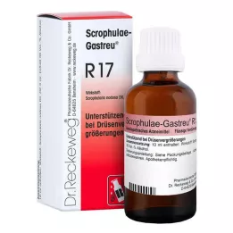 SCROPHULAE-Gastreu R17 mišinys, 50 ml