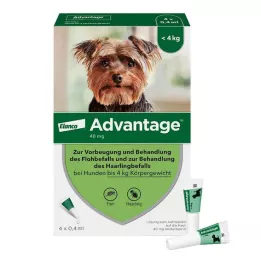 Advantage 40 šunims iki 4 kg, 4 vnt