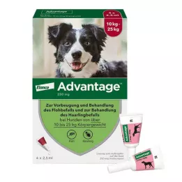 Advantage 250 šunims nuo 10-25 kg, 4 vnt