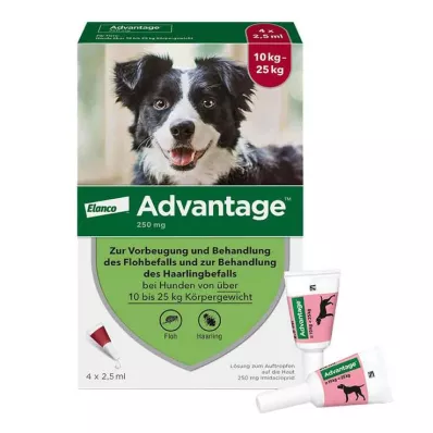 Advantage 250 šunims nuo 10-25 kg, 4 vnt Advantage 250 šunims nuo 10-25 kg, 4 vnt
