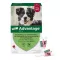 Advantage 250 šunims nuo 10-25 kg, 4 vnt