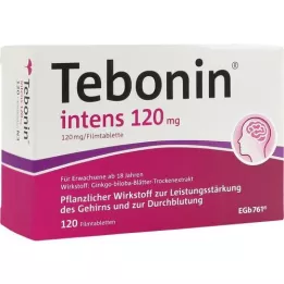 TEBONIN intens 120 mg plėvele dengtos tabletės, 120 vnt