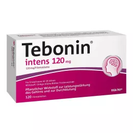 TEBONIN intens 120 mg plėvele dengtos tabletės, 120 vnt