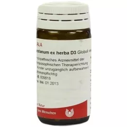 ABROTANUM EX Herba D 3 rutuliukai, 20 g