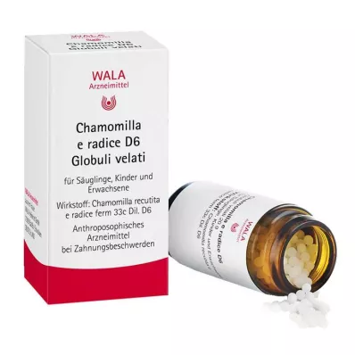 Chamomilla E Radix D 6 rutuliukai, 20 g Chamomilla E Radix D 6 rutuliukai, 20 g