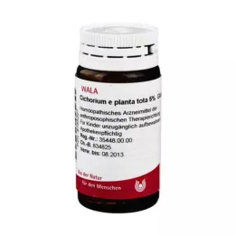 CICHORIUM E planta tota 5% rutuliukų, 20 g