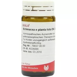 ECHINACEA E planta tota D 6 rutuliukai, 20 g