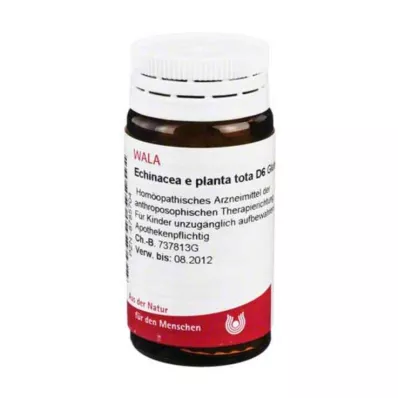Ežiuolė E Planta Tota D 6, 20 g Ežiuolė E Planta Tota D 6, 20 g