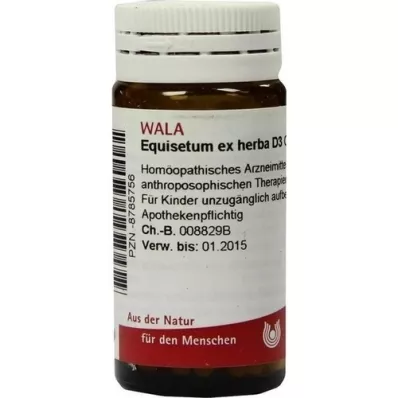 EQUISETUM EX Herba D 3 rutuliukai, 20 g