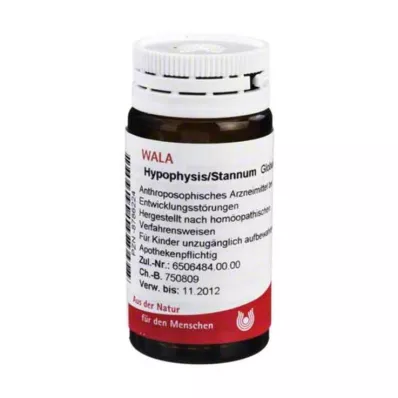 Hipofizė / Stannum Globules, 20 g Hipofizė / Stannum Globules, 20 g