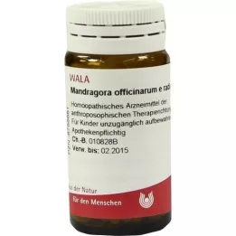 MANDRAGORA OFFICINARIUM e radice D 6 rutuliukai, 20 g