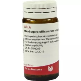 MANDRAGORA OFFICINARIUM e radice D 6 rutuliukai, 20 g