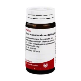 RHUS TOXICODENDRON E foliis D 30 rutuliukų, 20 g