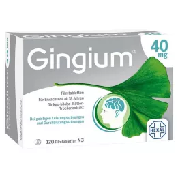 GINGIUM 40 mg plėvele dengtos tabletės, 120 vnt