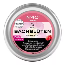 ENERGIE BACHBLÜTENPASTILLEN Dr. Bacho teigimu, 50 g