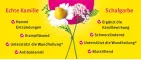 Instructions for use for Kamillan® skystis, 10 ml - 2