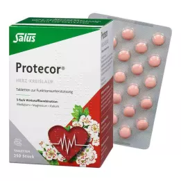 PROTECOR Širdies ir kraujagyslių Tabl.z.Funktionsunt.Salus, 250 St