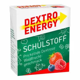 DEXTRO ENERGY Schulstoff miško vaisių tabletės, 50 g