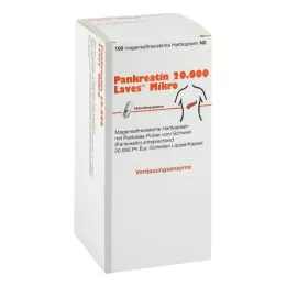 Pancreatin 20000 Laves mikro skrandyje neirios kapsulės, 100 vnt