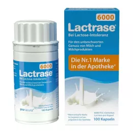LACTRASE 6 000 FCC Kapsulės, 100 vnt