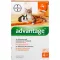 ADVANTAGE 40 mg tirpalas mažoms katėms/mažiems dekoratyviniams triušiams, 4X0,4 ml