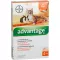 ADVANTAGE 40 mg tirpalas mažoms katėms/mažiems dekoratyviniams triušiams, 4X0,4 ml