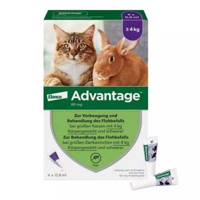 Advantage 80 didelėms katėms ir dekoratyviniams triušiams nuo 4 kg, 4X0,8 ml
