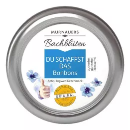BACHBLÜTEN Murnauers You can do it saldainiai, 50 g