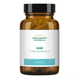 SAM S-ADENOSYLMETHIONIN Kapsulės, 60 kapsulių
