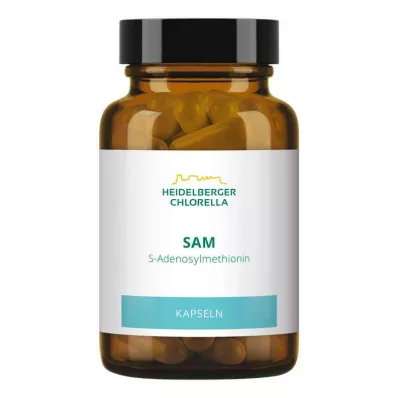SAM S-ADENOSYLMETHIONIN Kapsulės, 60 kapsulių