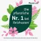Phytohustil kosulį slopinančios pastilės, 20 vnt
