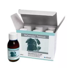 Reconvales Tonikas šunims, 6X90 ml