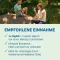 Magnesium Diasporal 400 Extra kapsulės, 50 vnt