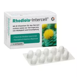 RHODIOLA-INTERCELL Kapsulės, 60 vnt