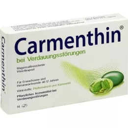 CARMENTHIN nuo virškinimo sutrikimų msr.soft kapsulės, 14 vnt