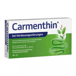 CARMENTHIN nuo virškinimo sutrikimų msr.soft kapsulės, 14 vnt